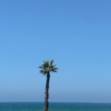 essaouira